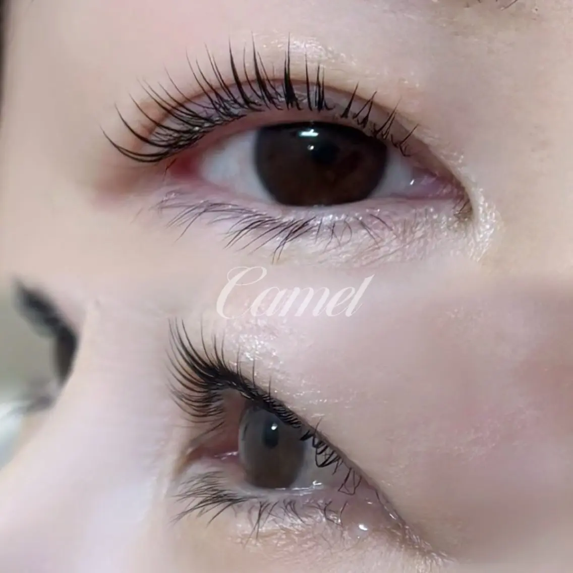 マツエク・マツパ マツパ Camel maoのマツエク・マツパデザイン