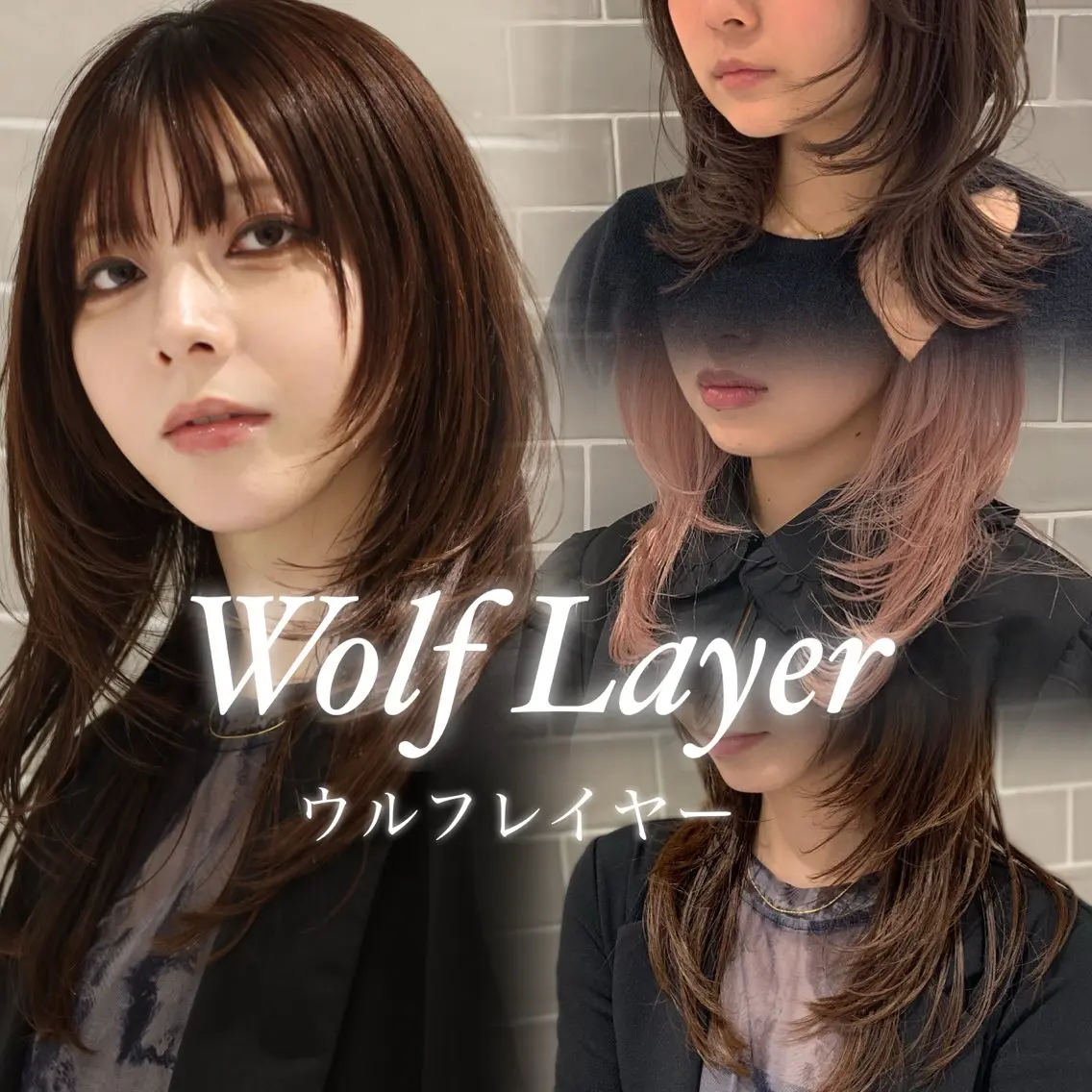 【⚫️ミニモ限定】ウルフレイヤー+髪質改善カラー(ULTOW水素)の写真