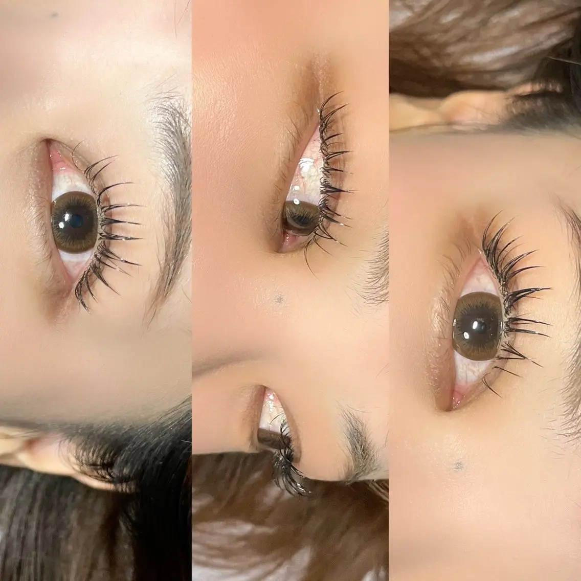 マツエク・マツパ eclipse eyelashのマツエク・マツパデザイン