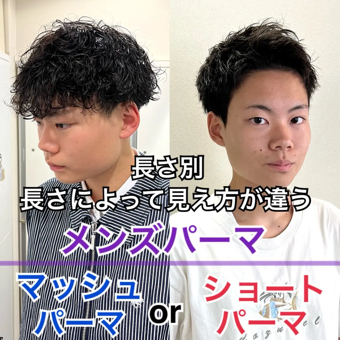 ショート パーマ メンズ メンズハイライト マッシュ メンズパーマ メンズツイストパーマ ツイストスパイラルパーマ 茅ヶ崎パーマ特化/ スパイラル/ハルキのヘアスタイル