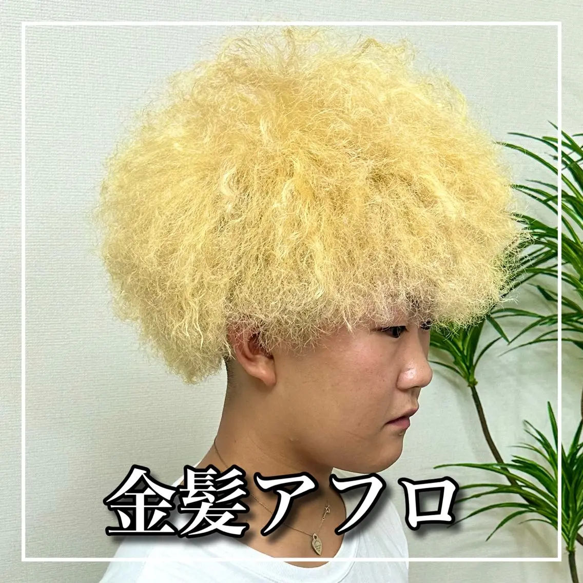 ショート カラー パーマ メンズ 和田  魁【トップ スタイリスト】のヘアスタイル