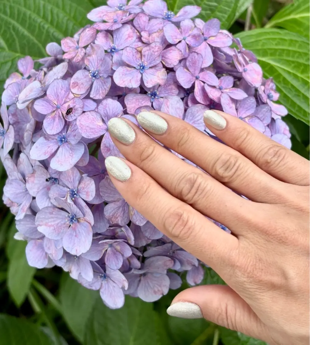 上品ハンドネイル💅ワンカラーの写真