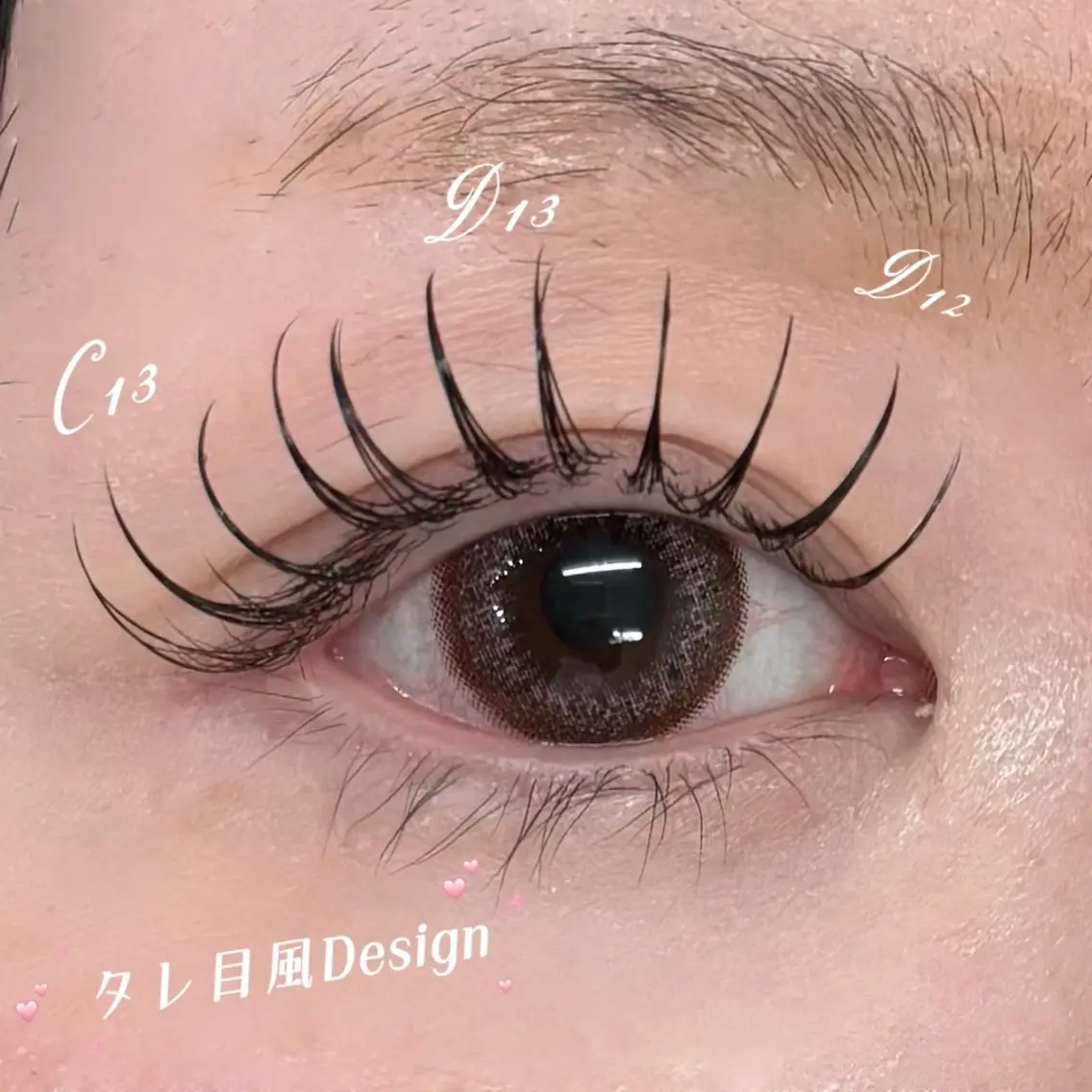 Wフラットラッシュ60〜70束・:.:+の写真