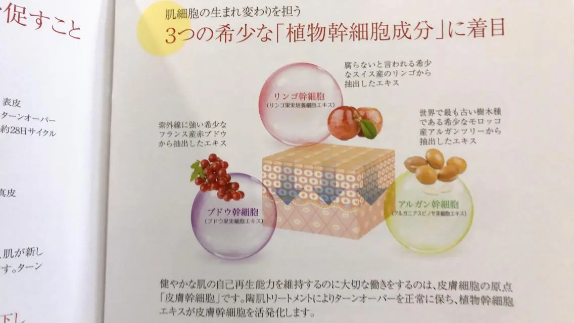 宜野湾美肌脱毛fuu okinawaタイラのエステ・リラクイメージ