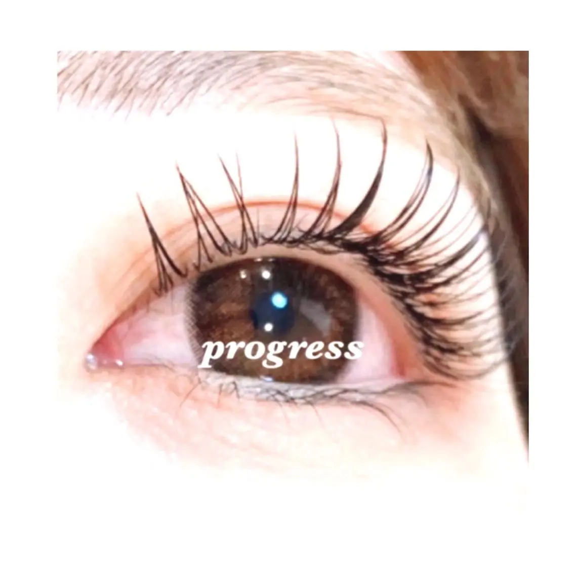 マツエク・マツパ カラーマツエク フラットラッシュ まつげパーマ セーブル 一重×まつ毛パーマ progress つくばのマツエク・マツパデザイン