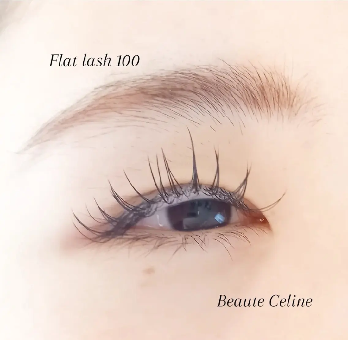 マツエク・マツパ Dカール マツエク LED✨beaute Celine🌛🌹のマツエク・マツパデザイン