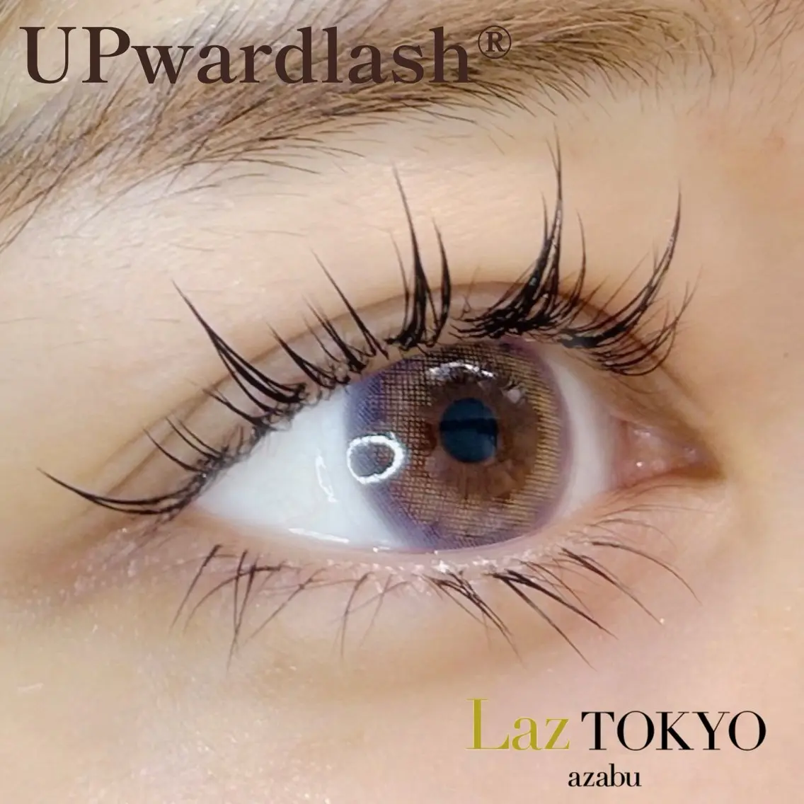 マツエク・マツパ アップワードラッシュ ワンホンマツエク LazTOKYO YUKAKOの眉毛・アイブロウイメージ