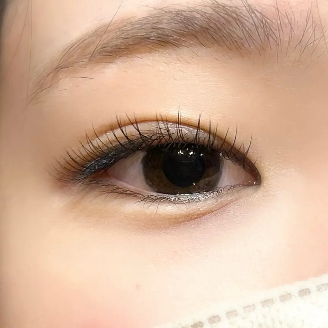 🪽フラットラッシュ120本(片目60本)🪽の写真