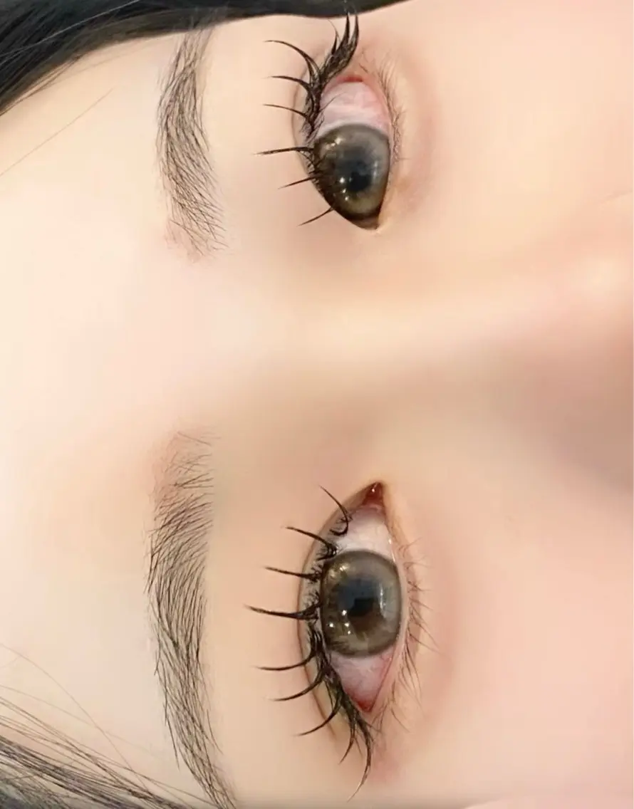 オフありフラットラッシュ 120本の写真