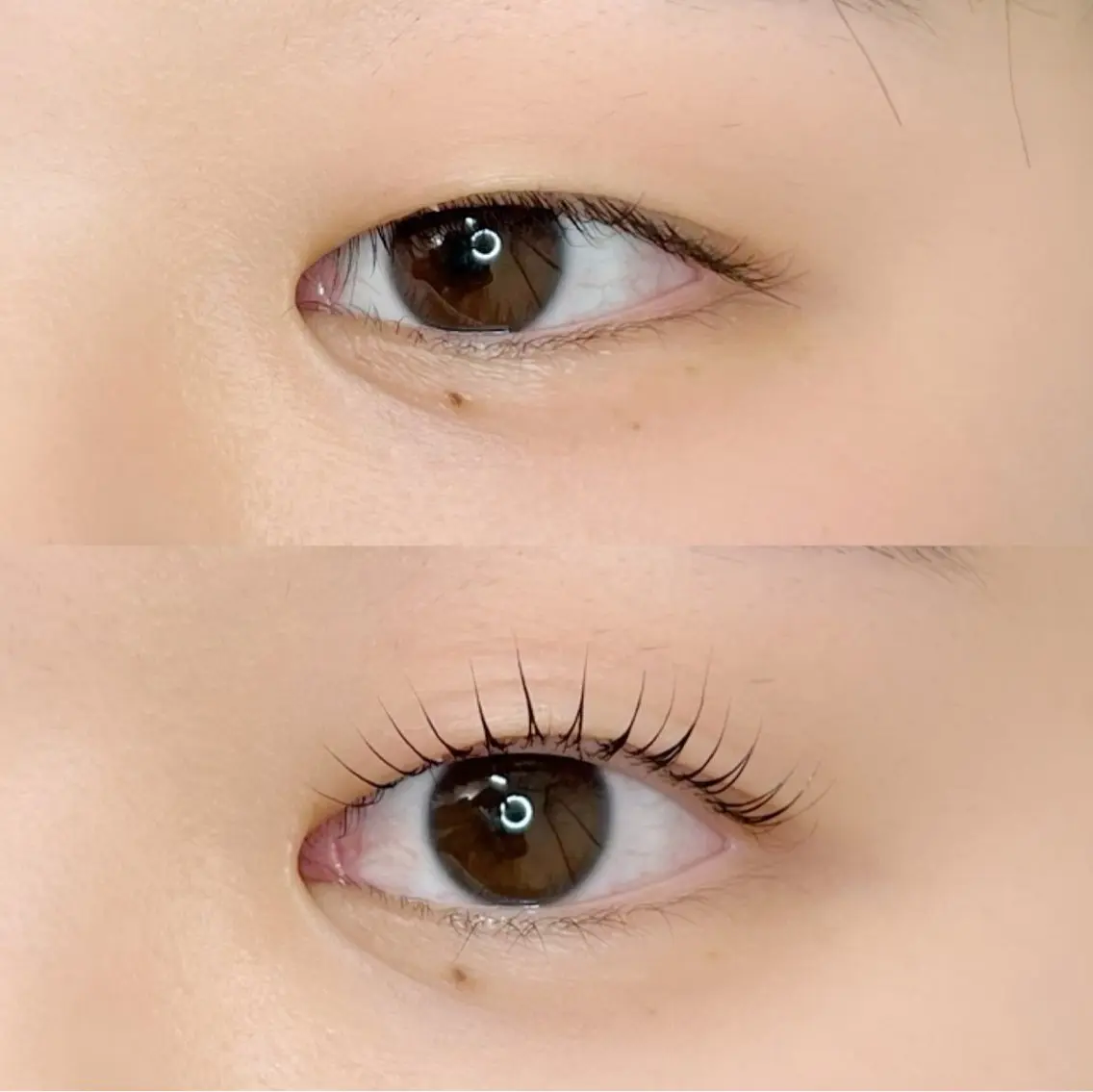 マツエク・マツパ マツパ 🌙eyelash kirari🌙のマツエク・マツパデザイン