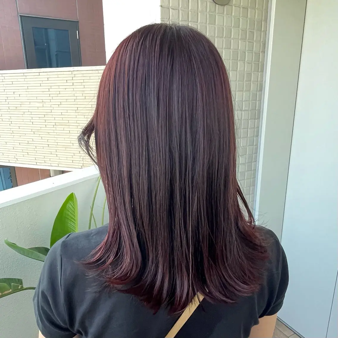 カラー ブラウンカラー カシス 銀座：似合わせカラー オリーブ🫒アレンジのヘアスタイル