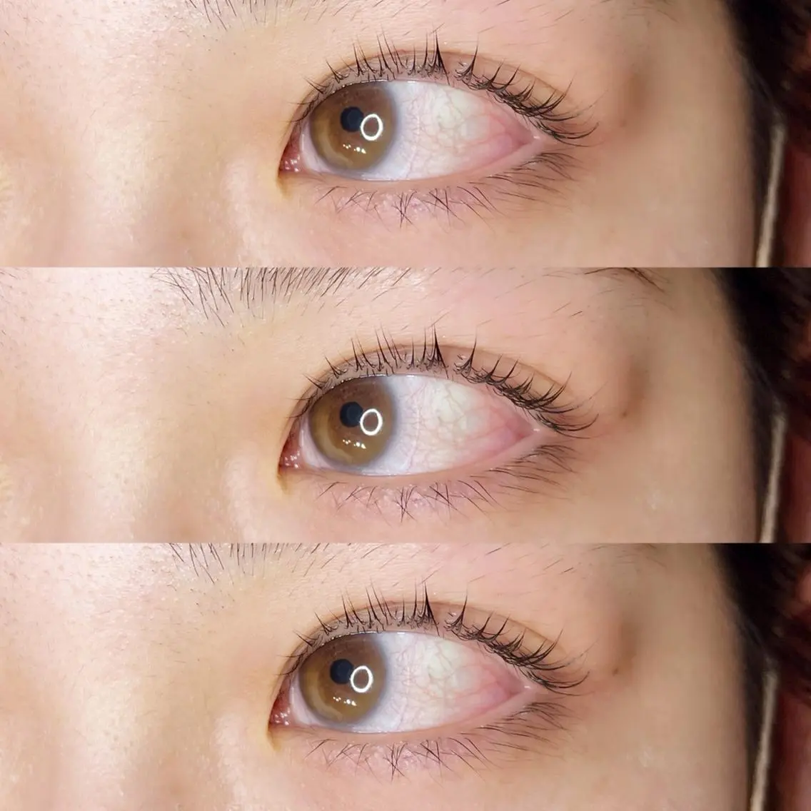 マツエク・マツパ 《eyelash ｉｉｔｅ》森のマツエク・マツパデザイン