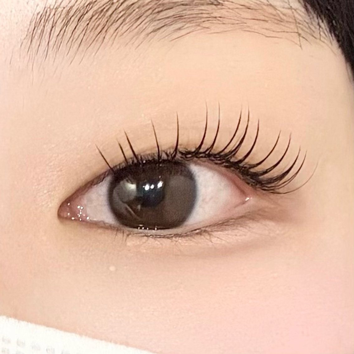 【平日限定】アンドヘルシー100本モデル(オフ込み)の写真