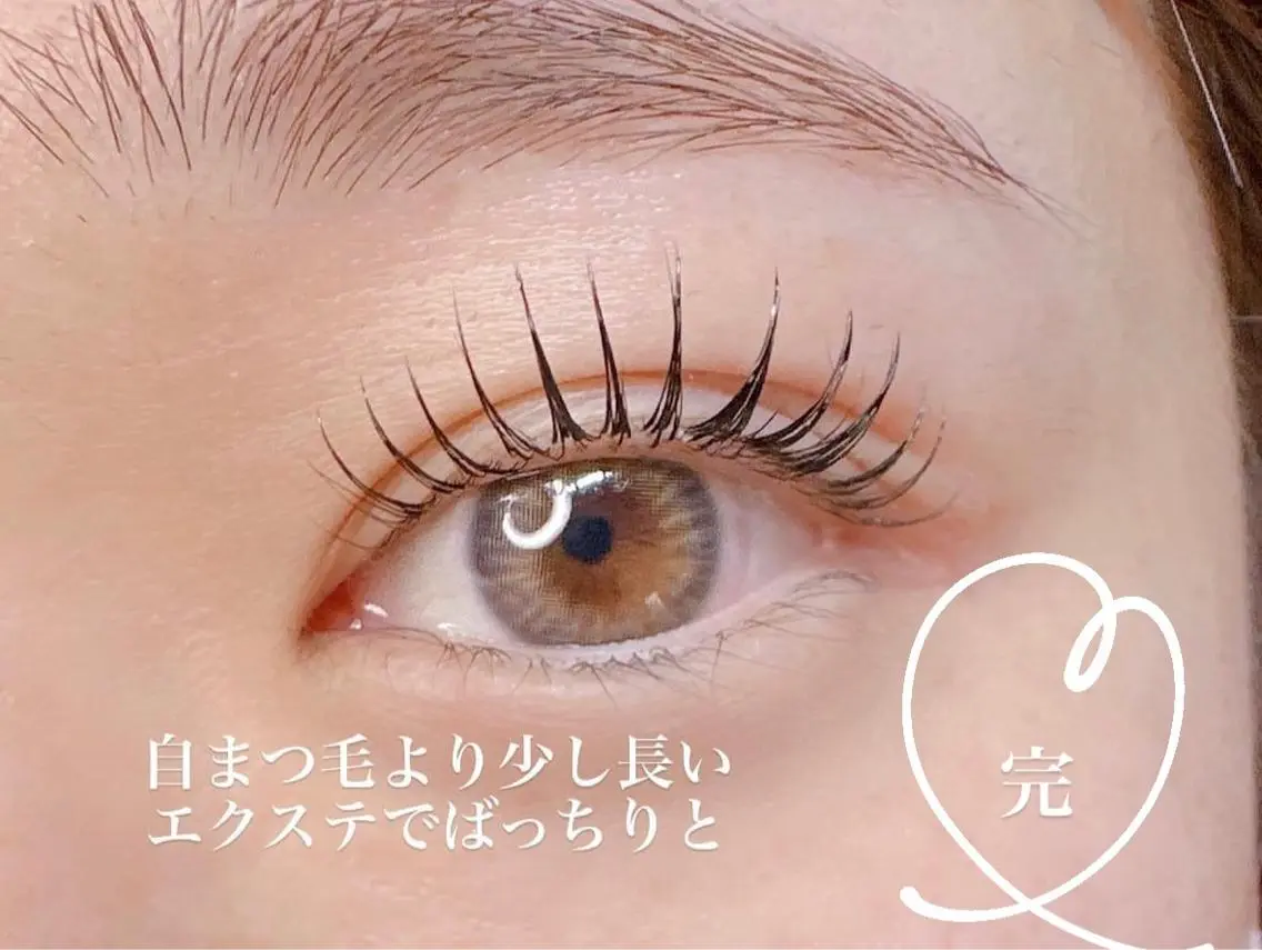 ラッシュリフト×LEDエクステ80本 モデル価格の写真
