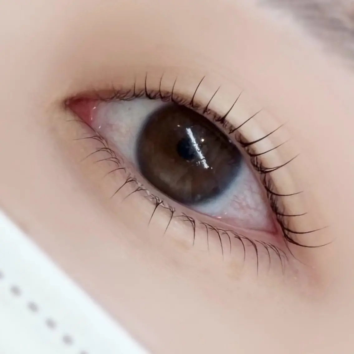 マツエク・マツパ 🌼 ryukaの眉毛・アイブロウイメージ