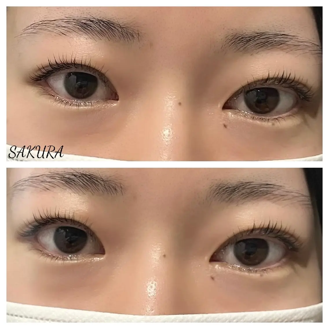 マツエク・マツパ 下まつげエクステ 一重×まつ毛パーマ EYE405 SAKURAのマツエク・マツパデザイン
