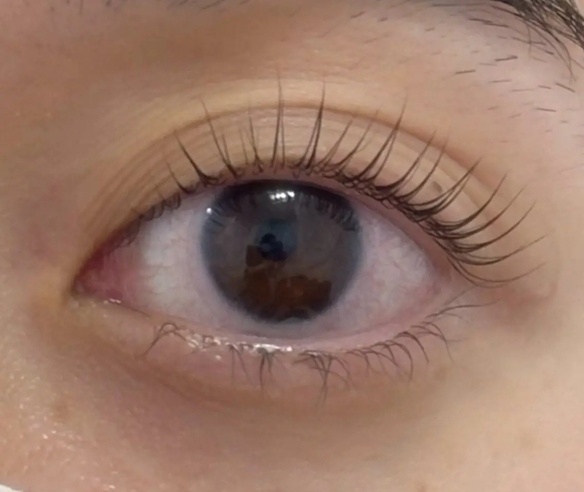 マツエク・マツパ パリジェンヌラッシュリフト pluseye✩.* ᴍ ɪ ᴋ ᴜのマツエク・マツパデザイン