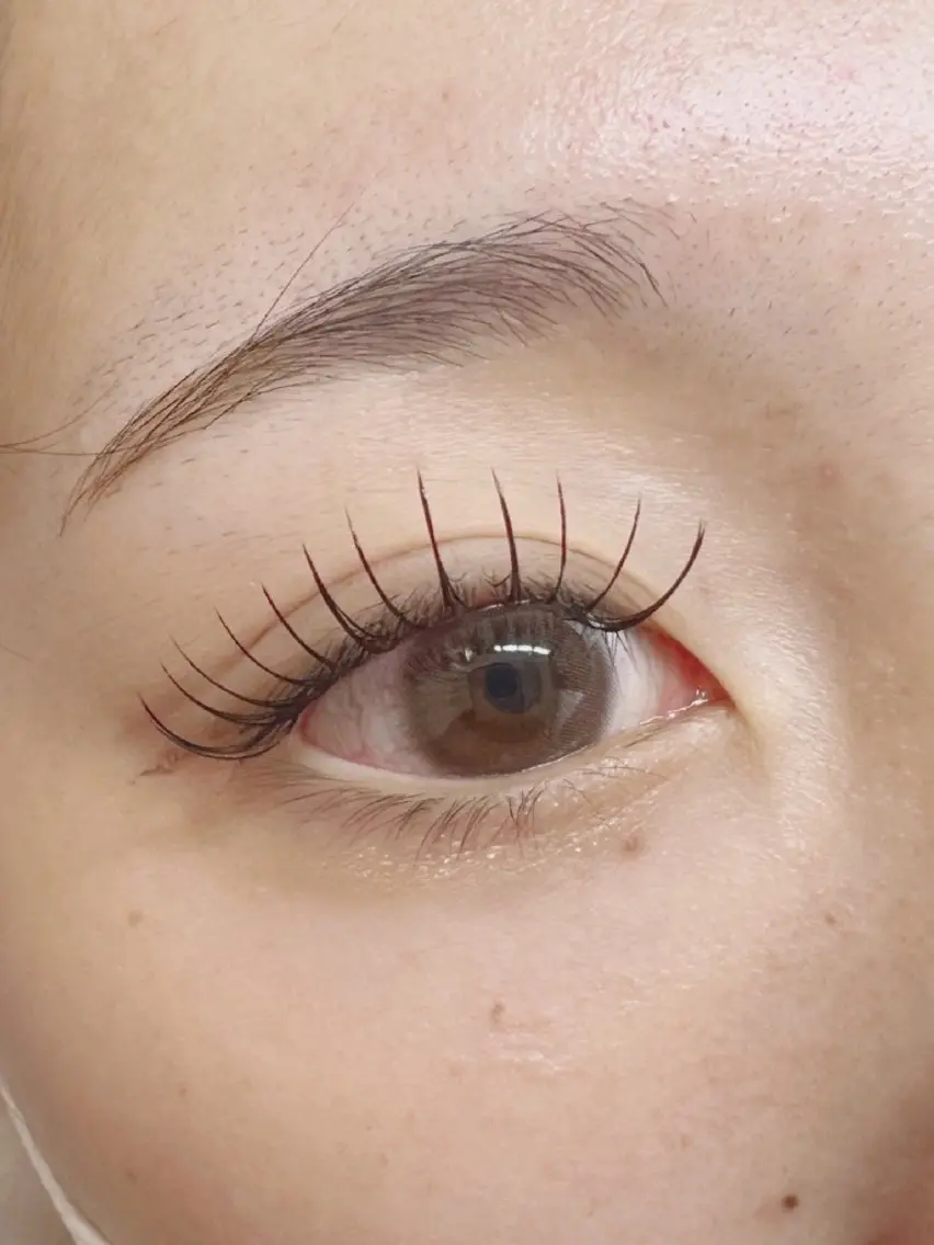マツエク・マツパ フラットラッシュ Eyelash Hauoliの眉毛・アイブロウイメージ