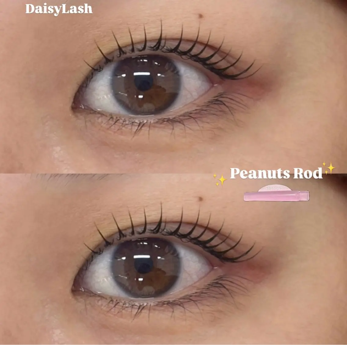 マツエク・マツパ マツパ Daisy Lash 星のマツエク・マツパデザイン
