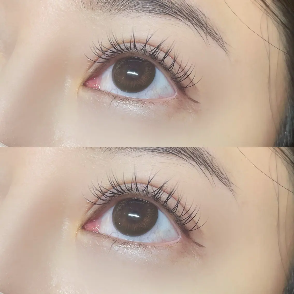 フラットラッシュ120本の写真
