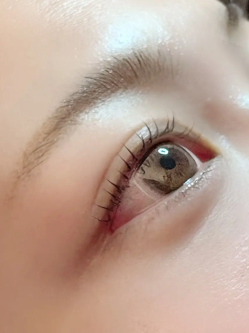 ご新規様限定!✨パリジェンヌラッシュリフト+コーティング付きの写真