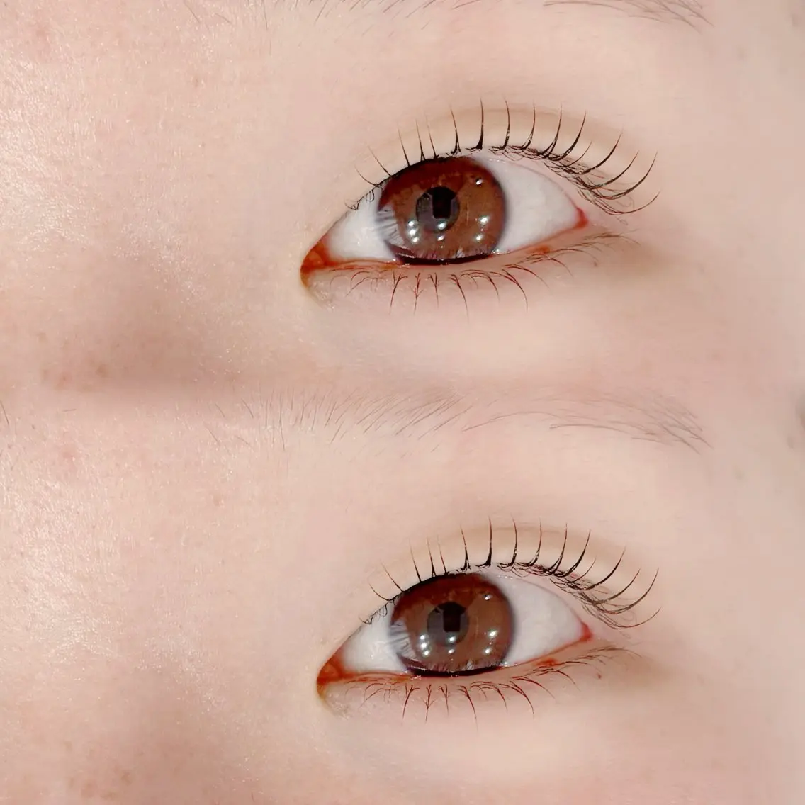 ラッシュリフト上下(まつげパーマ)👀✨️の写真