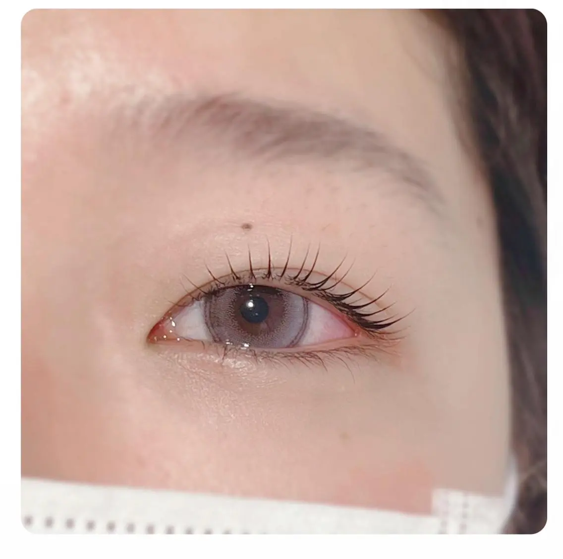マツエク・マツパ まつげパーマ Biolus/天王寺 2号店🌸noa🌸のマツエク・マツパデザイン
