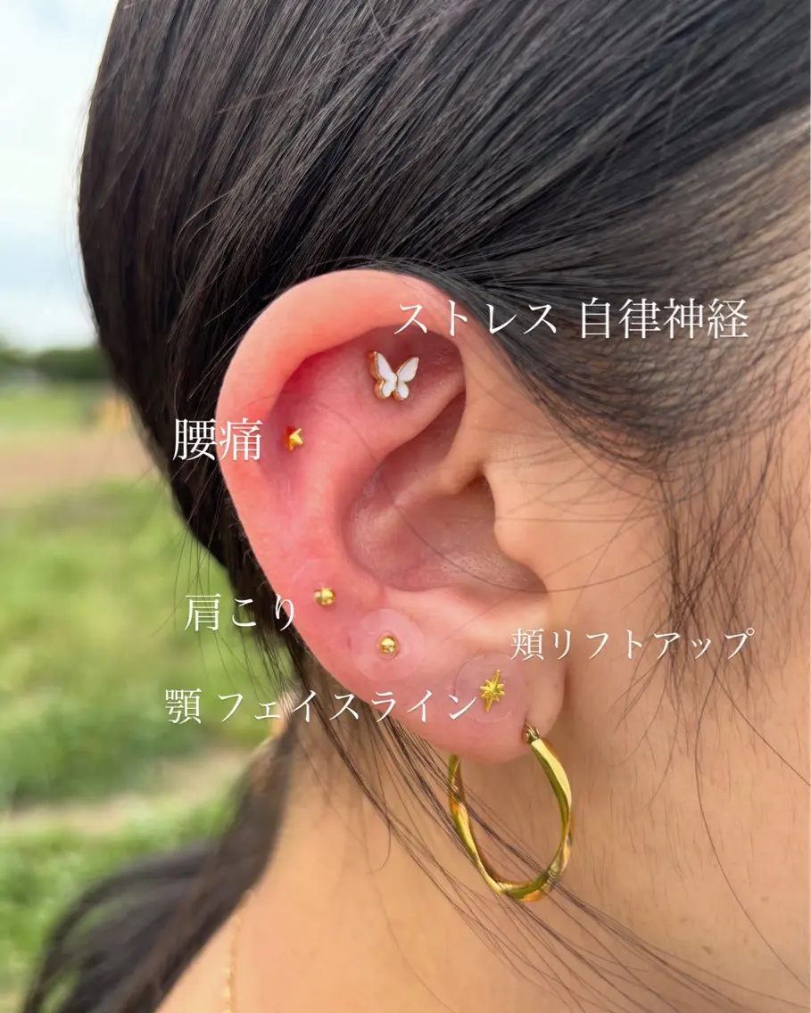 【効果重視】チタン耳ツボジュエリー10個👂💎の写真