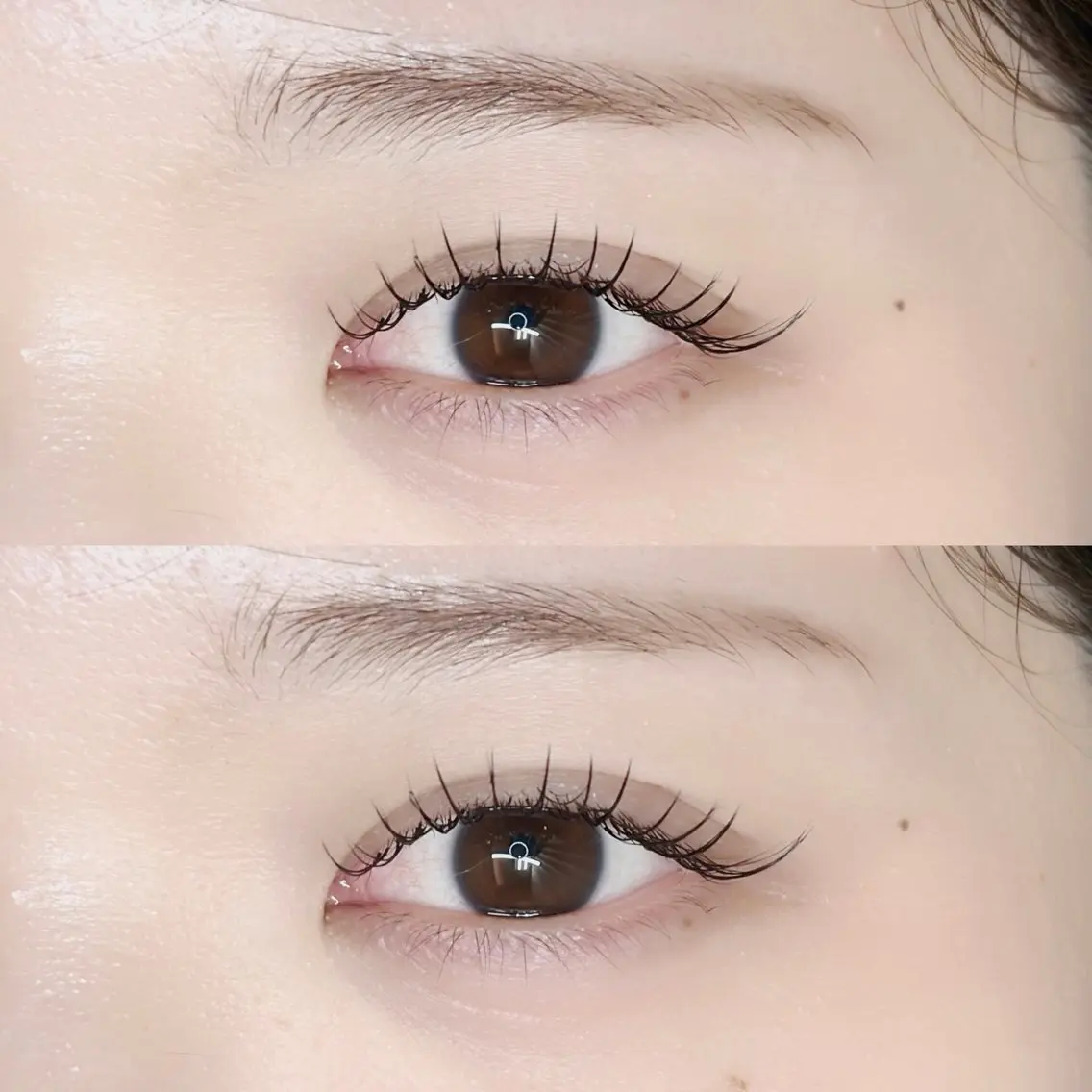 シングルラッシュ 80本（Cカール） レッスンモデル✨の写真