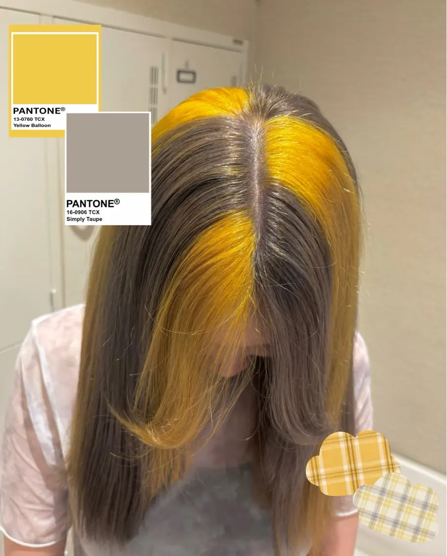 ロング カラー さら艶レイヤーカット 🩶Suzuneのヘアスタイル