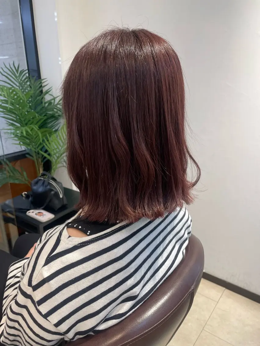 ✨カット+ブリーチなしWカラー+1STEPトリートメント✨️の写真