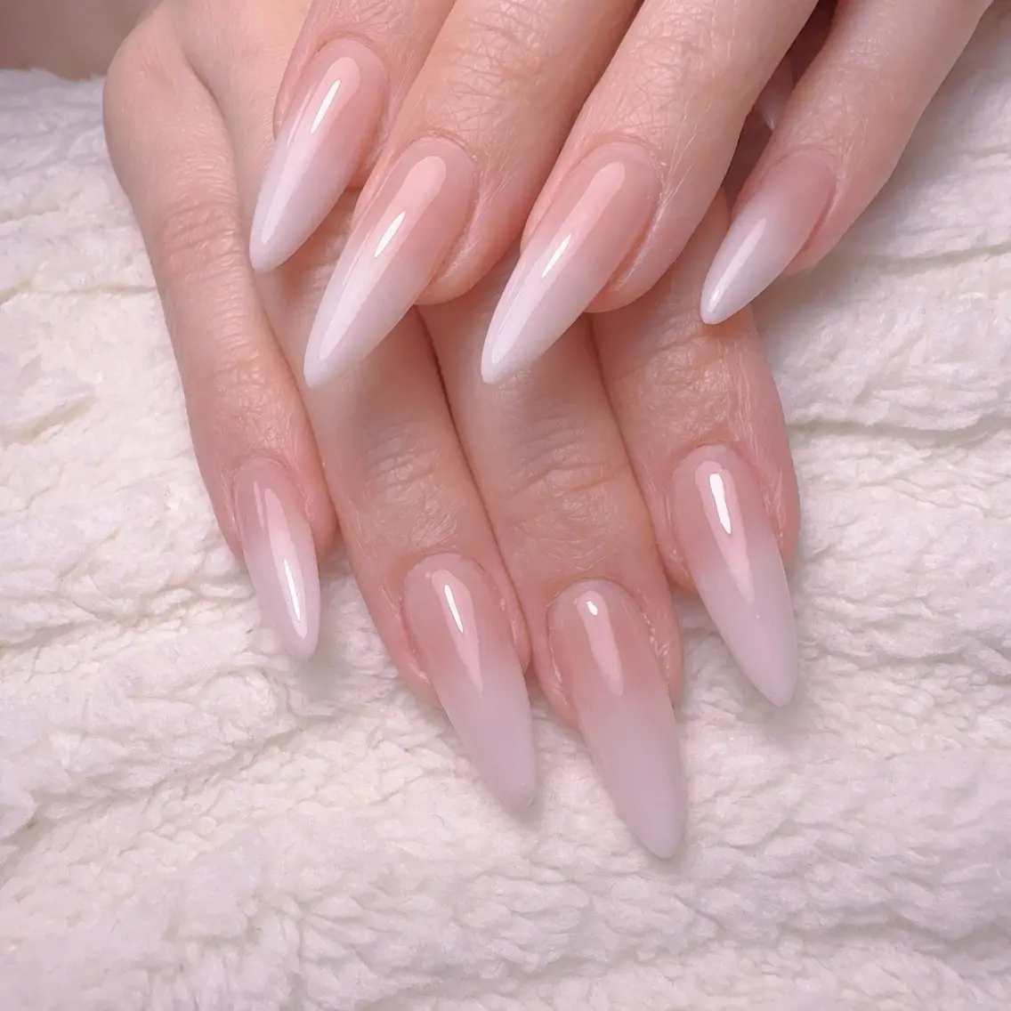 ネイル グラデーション ネイルチップ ハンドネイル cat‘s nail🐈⬛のネイルデザイン
