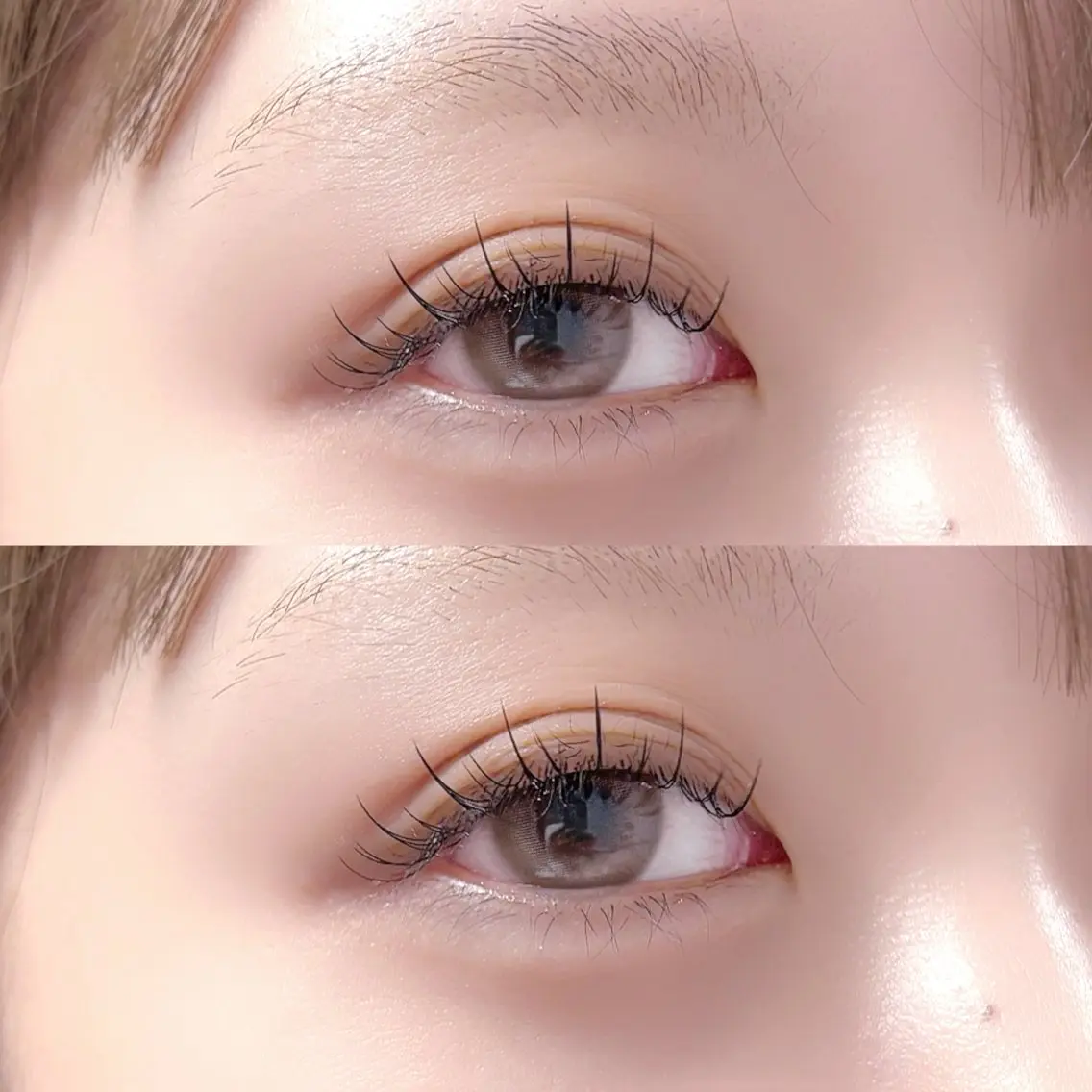 マツエク・マツパ フラットラッシュ eyelash "Koa"🕊🤎のマツエク・マツパデザイン