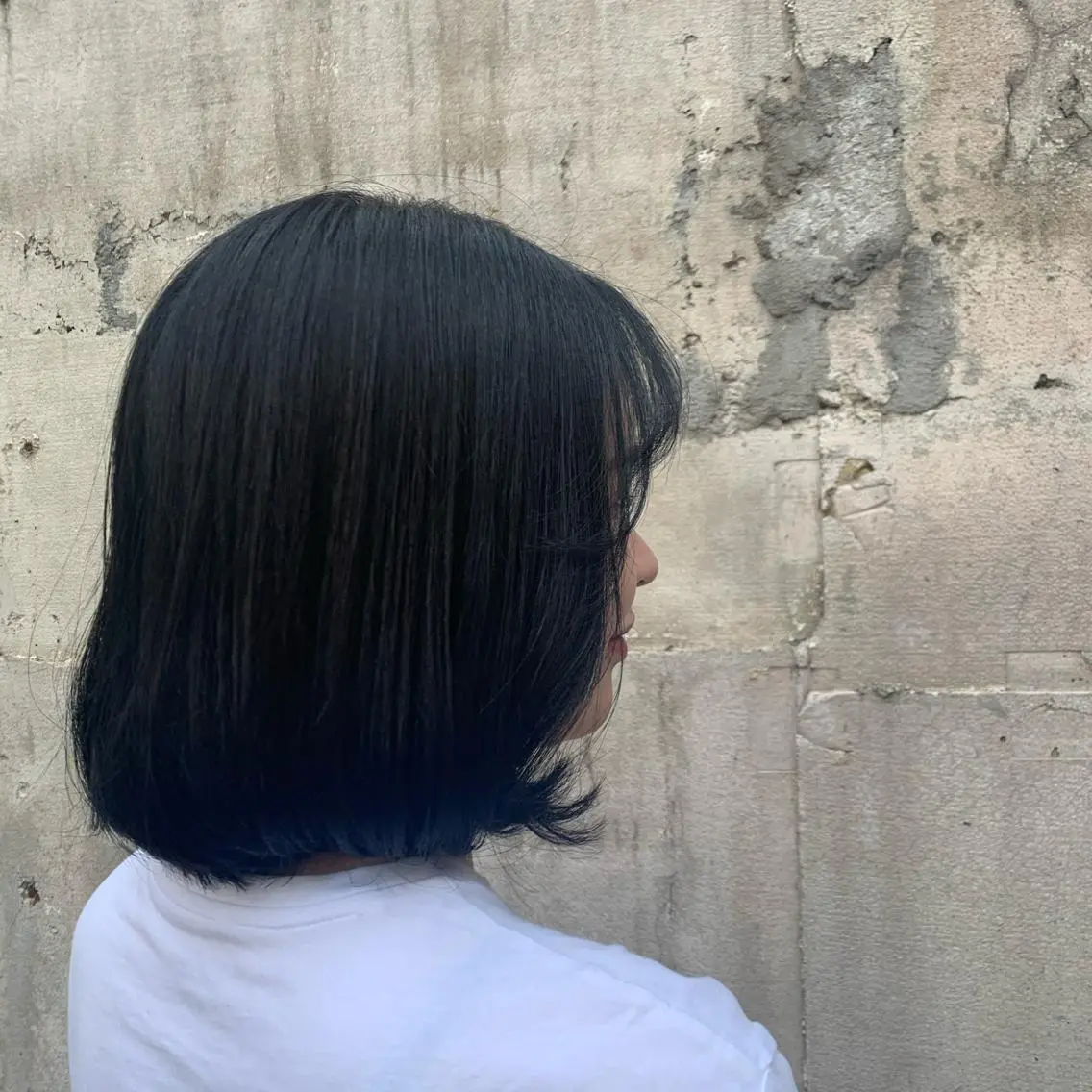 ミディアム カラー 黒髪 ブルーカラー ブルーブラック トリートメント 韓国🇰🇷髪質改善 Chisaki치사키のヘアスタイル