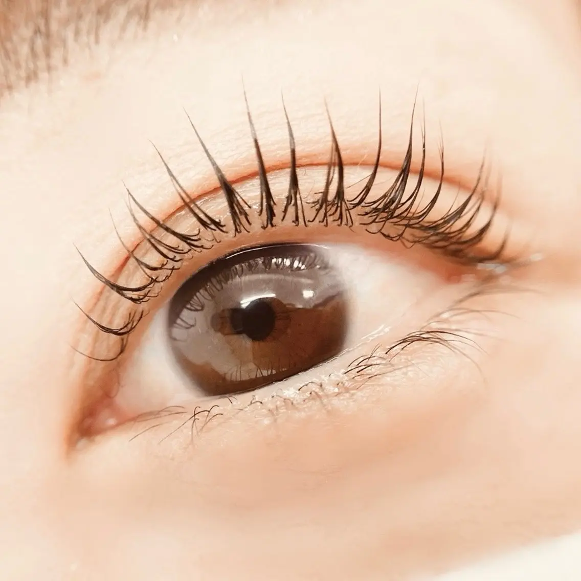 マツエク・マツパ パリジェンヌラッシュリフト マツパ Eyelash🌻 nakajimaのマツエク・マツパデザイン