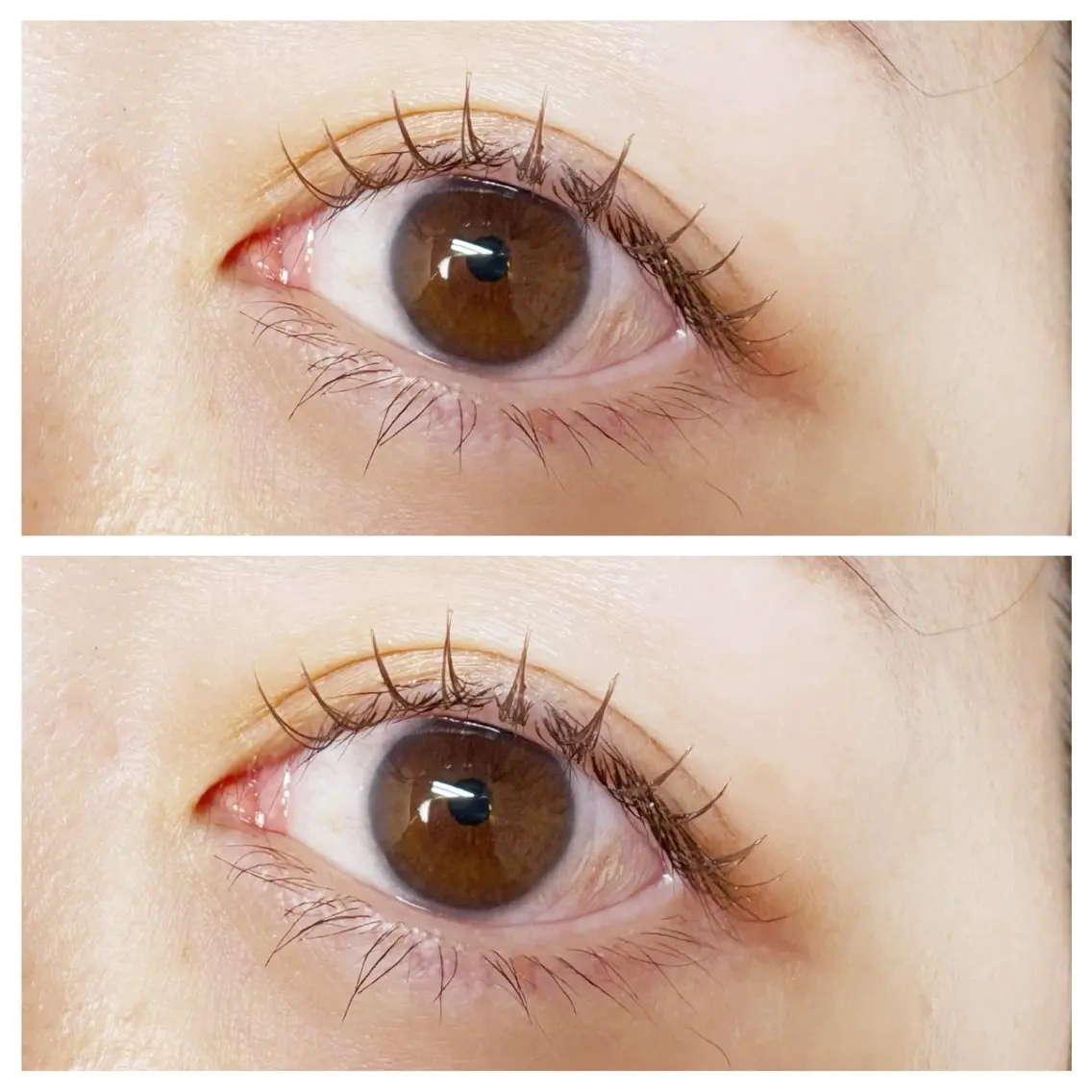 マツエク・マツパ マツエク plume eyelashのマツエク・マツパデザイン