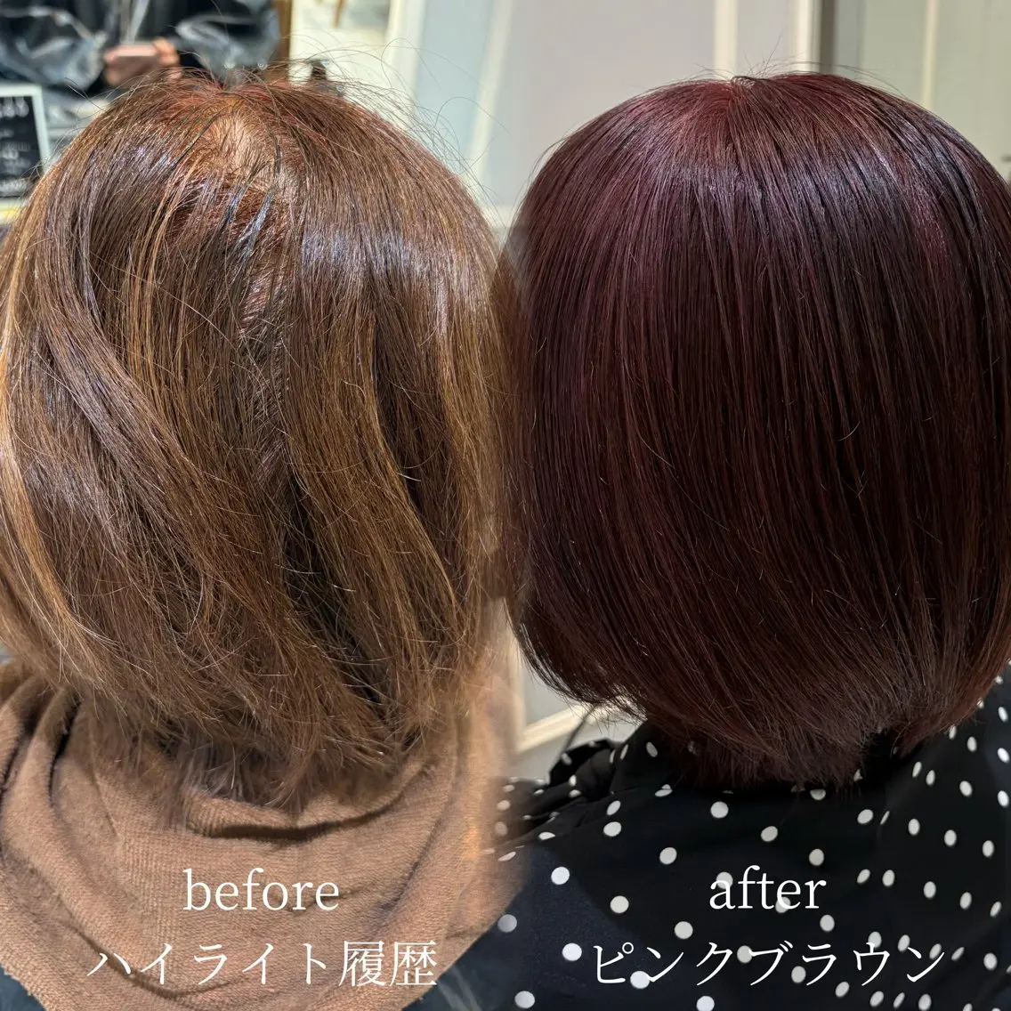 カラー 🌱‬‪kou紅🌱 モデル募集中🪷のヘアスタイル