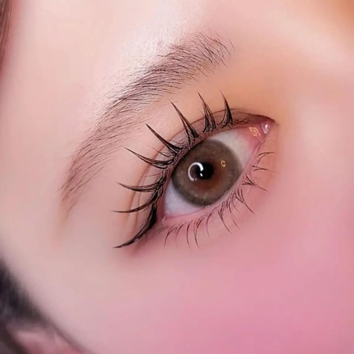 マツエク(オフなし)フラットマットラッシュ120本の写真