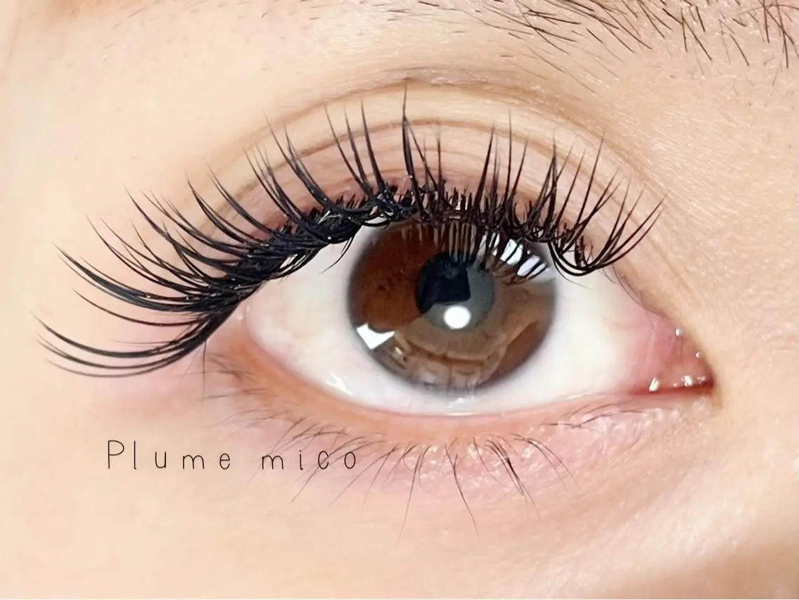 マツエク・マツパ マツエク Plume micoのマツエク・マツパデザイン