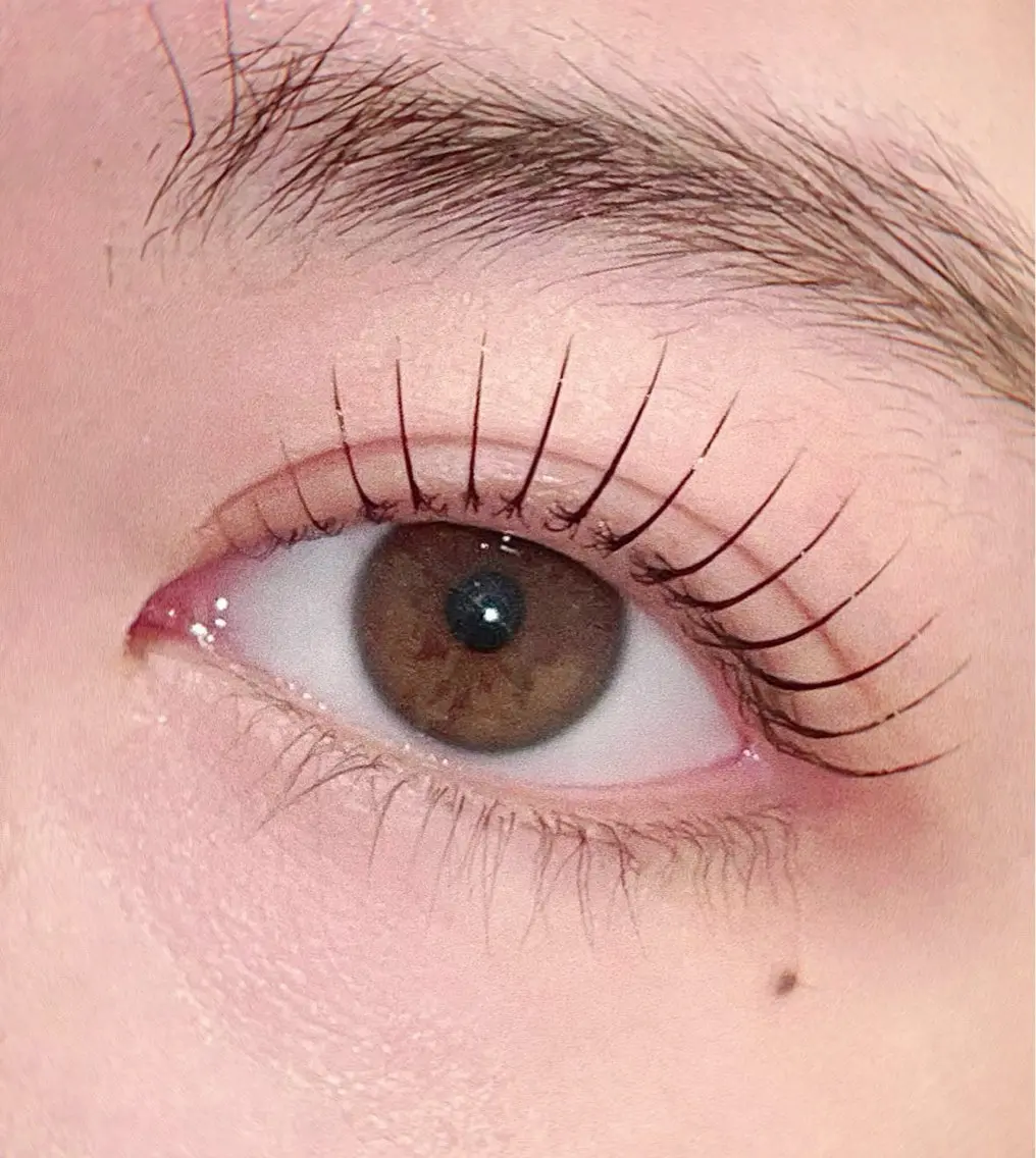 マツエク・マツパ 束感まつ毛 韓国風マツエク まつげパーマ マツパ CiCi🫧 eyelashのマツエク・マツパデザイン