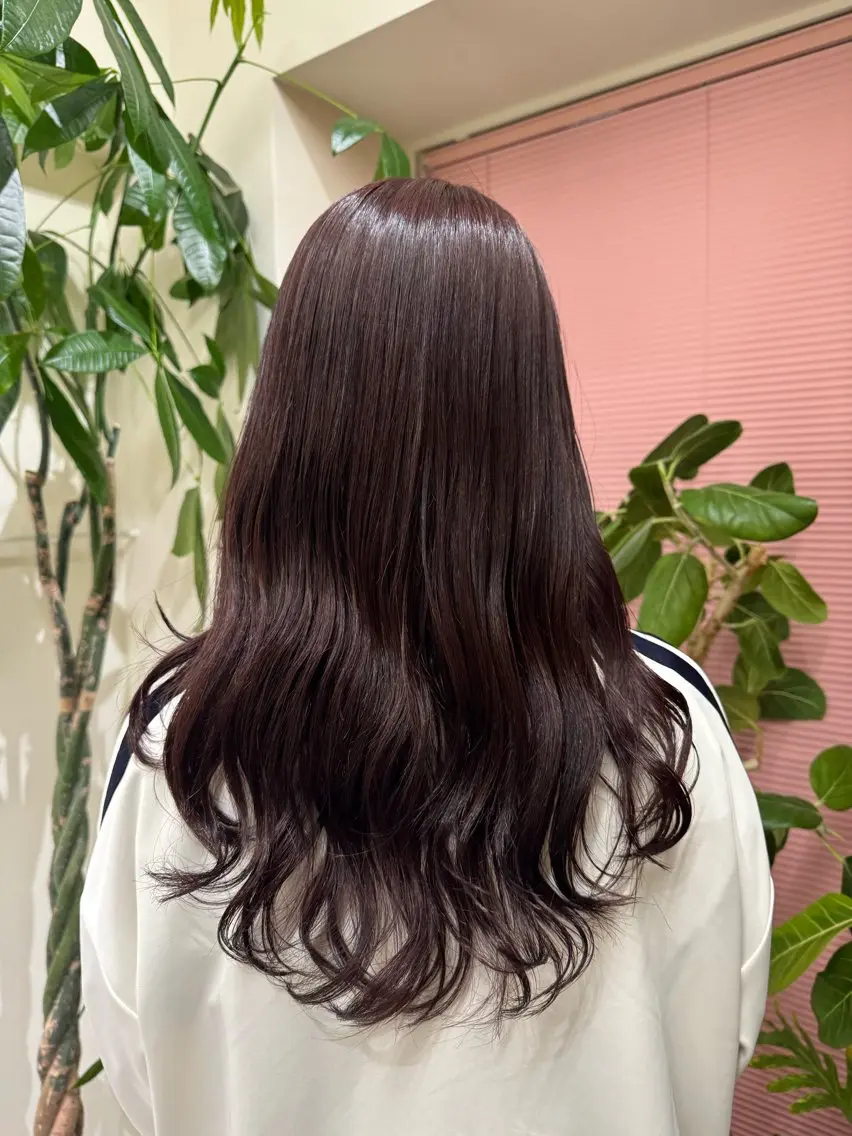 本日限定メニュー ワンカラー70%off✨️の写真