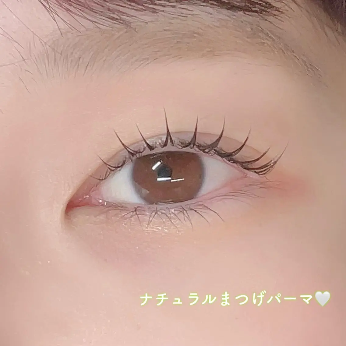 【セットでお得🉐】🌸まつげパーマ+アイブロウ🌸の写真