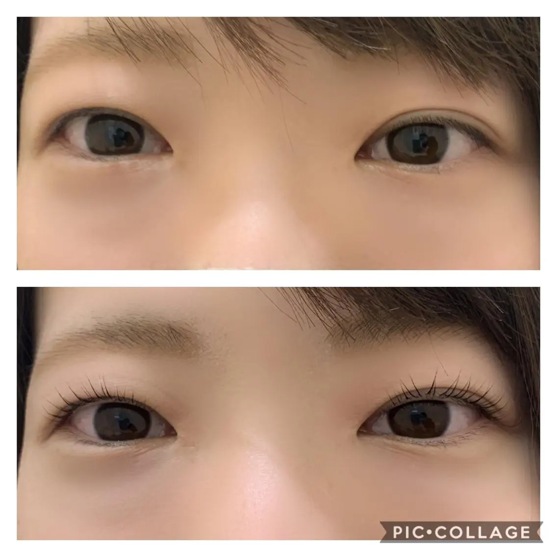 マツエク・マツパ Daisy hair eyelashのマツエク・マツパデザイン