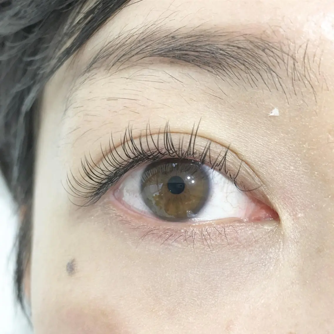 マツエク・マツパ Dカール フラットラッシュ eyeliss♡林 清のマツエク・マツパデザイン