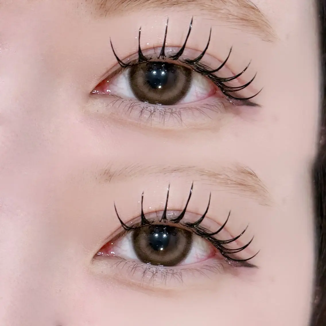 最高持続🧚🏼♀️🩵LEDフラットラッシュ🩵🧚🏼♀️【オフなし】120本🫧の写真