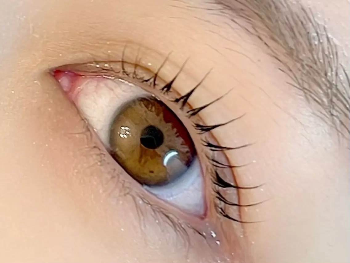 マツエク・マツパ まつげパーマ LELEGANCE eyelashの眉毛・アイブロウイメージ