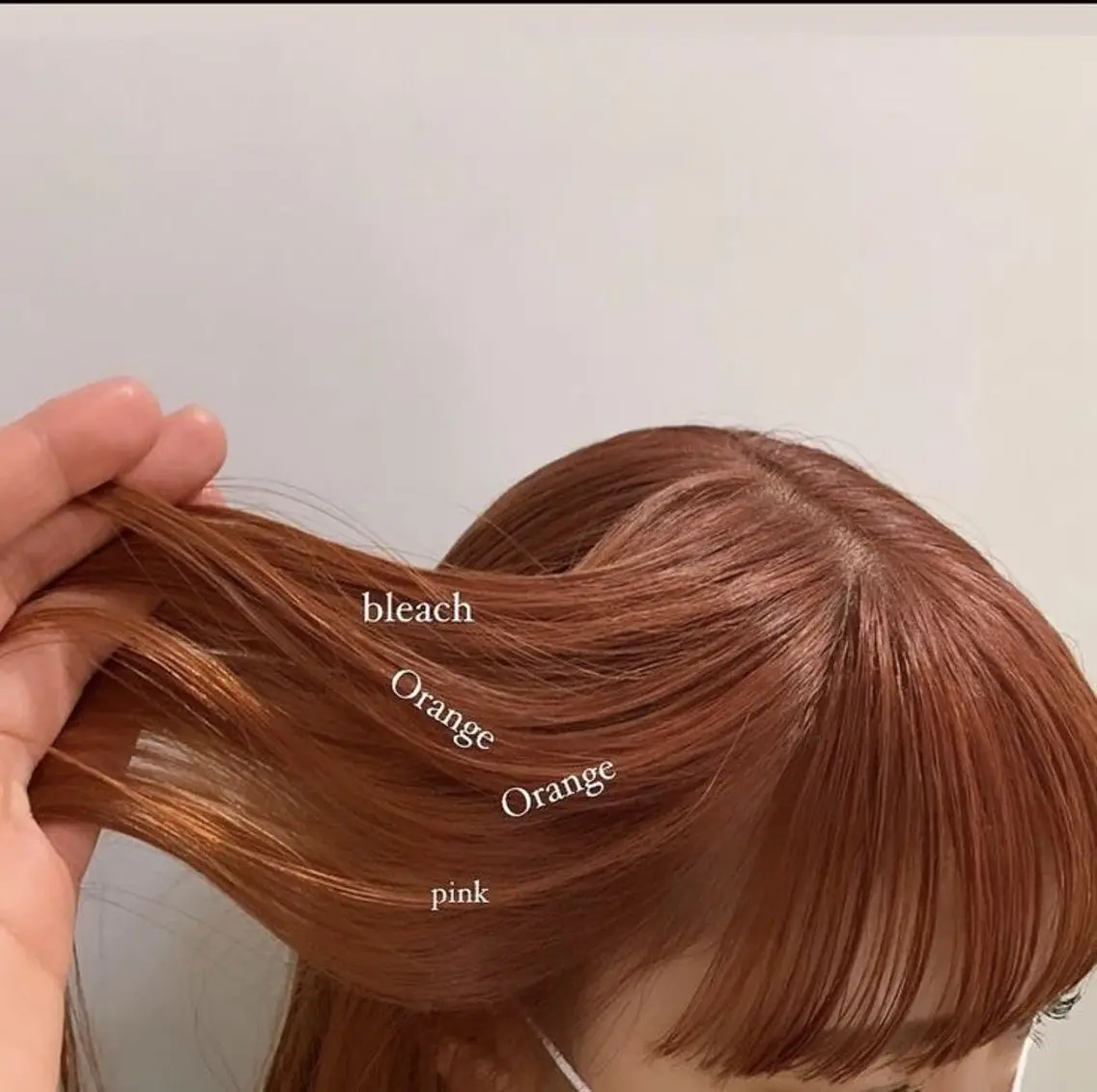 🐶cut&color🎀《ショート不可⚠️》の写真