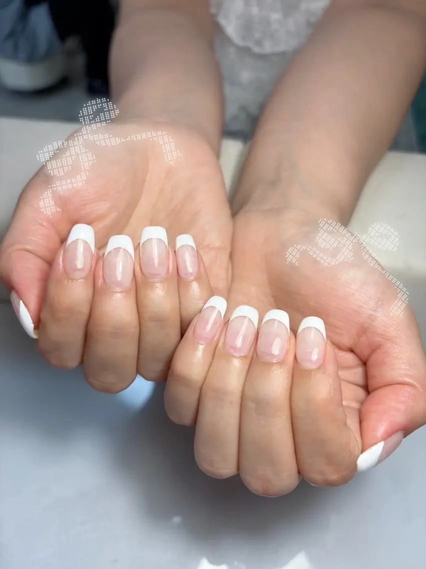 《オフなし》白フレンチ(根本クリア)の写真