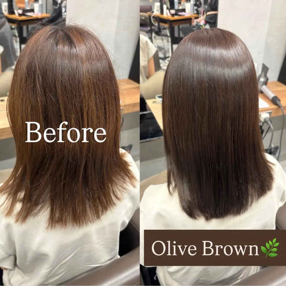セミロング カラー ブラウンカラー オリーブブラウン 似合わせカット ヘアカラー トリートメント 艶カラー✨️髪質改善 🪽縮毛矯正mamiのヘアスタイル