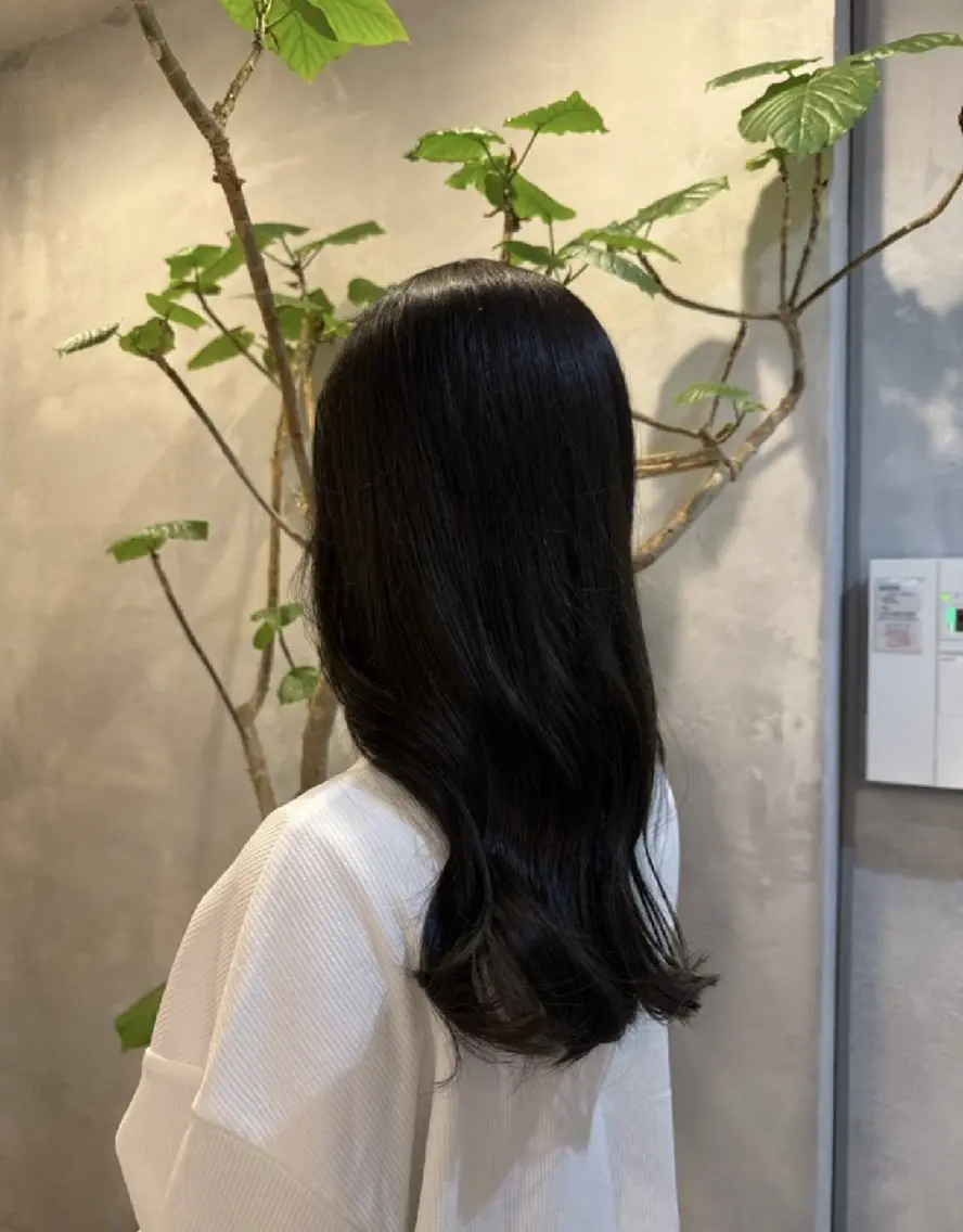 🫧バイカルテトリートメント ライト【シャンプー、ブロー込み】🫧の写真
